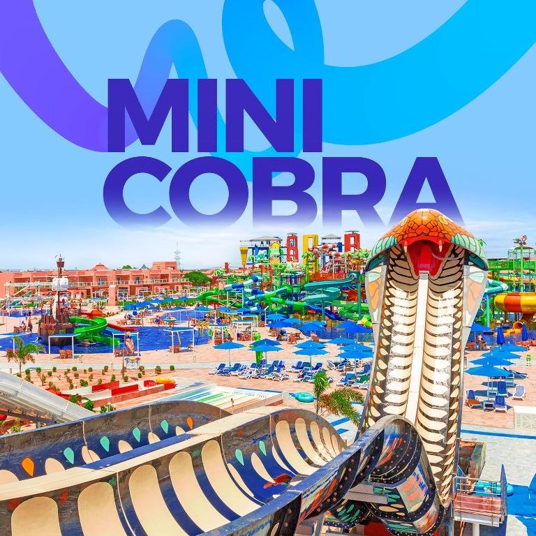 Water Slides and Kids Fun