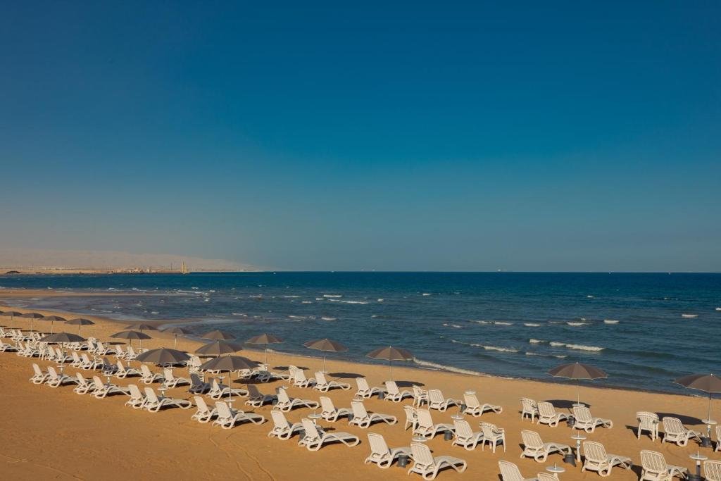 توليب ماجيستيك العين السخنة