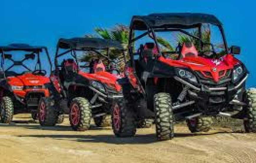 Quadripple Buggy Safari Sharm
