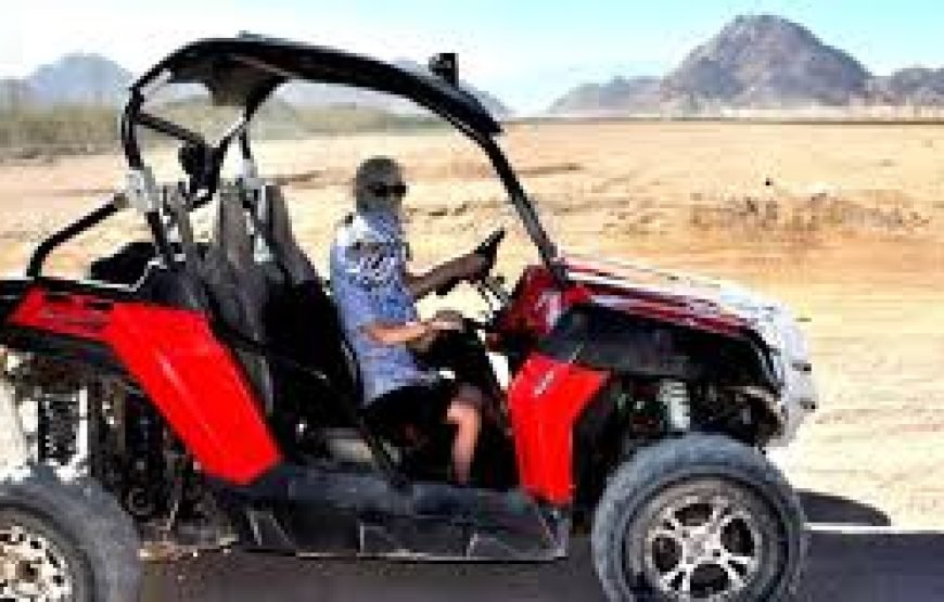 Quadripple Buggy Safari Sharm