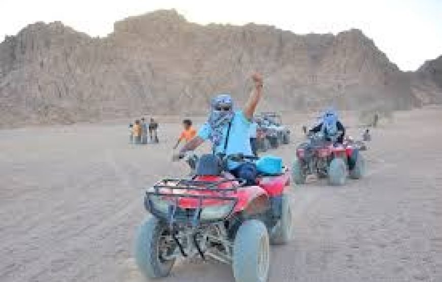Qaud Bike Safari Sharm