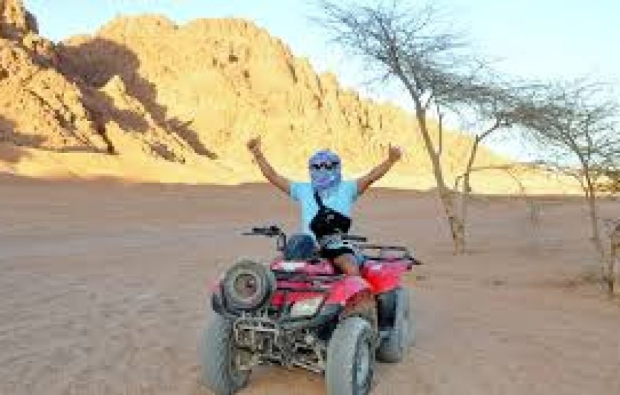 Qaud Bike Safari Sharm